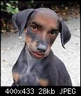 Lionel's first-born - doghumanface.jpg-doghumanface-jpg