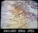 Mystery Wood-wood001-%5B640x480%5D-jpg