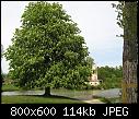 Wood in Versailles - File 02 of 25 - yEnc "IMG_0742.JPG" 116288 bytes  (1/1)-img_0742-jpg