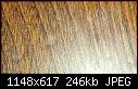 Dimples in poly finish - Why? "poly 03 post.jpg" (1/2) yEnc 529017 Bytes-poly-02-post_redone-jpg