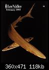 Woodworking Envy - shark.jpg (1/1)-shark-jpg