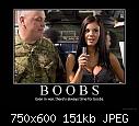 My laugh for the day...-boobs-jpg