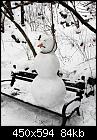 Canadian Outdoor Scenery-guilty-snowman-jpg