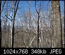hikes at Mohonk, New Paltz, NY - File 3 of 7 - [1280x768] IMG_2850.JPG (1/1)-%5B1280x768%5D-img_2850-jpg