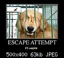 One for the Dogs...-escapeattempt-jpg