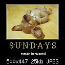 One for the Dogs...-sundays-jpg