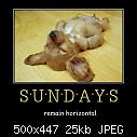 One for the Dogs...-sundays-jpg