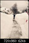 Snow November 2014 Buffalo, NY - Snow 2.jpg-snow-2-jpg