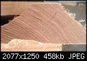 wood id help - File 3 of 3 - IMG_3356 (2).JPG (1/1)-img_3356-2-jpg