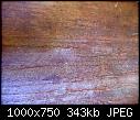 What wood is this? (1/1)-dsc01028a-jpg
